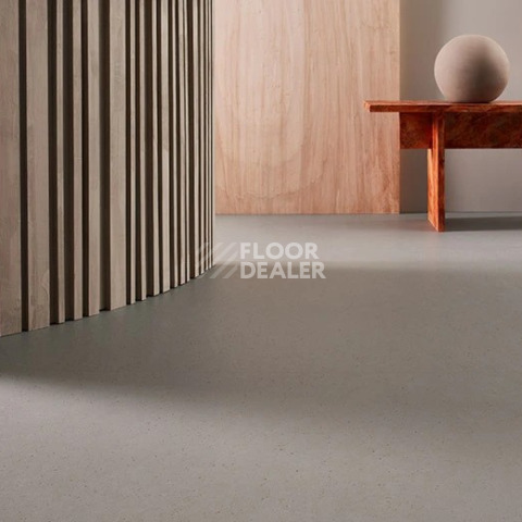 Forbo Marmoleum Solid Cocoa 3594 chia seeds фото 2 | FLOORDEALER